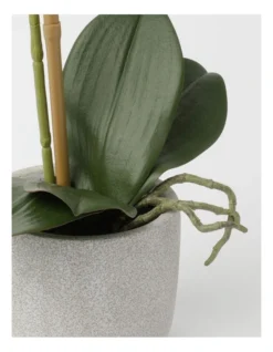 Heritage Real Touch Orchid 45cm 1 Stem Purple -Heritage 852152410 3 720x928