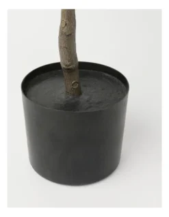 Heritage Orange Tree 30.48x30.48x106.68cm -Heritage 898364710 3 720x928